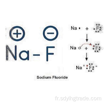 le fluorure de sodium inhibe la glycolyse en affectant